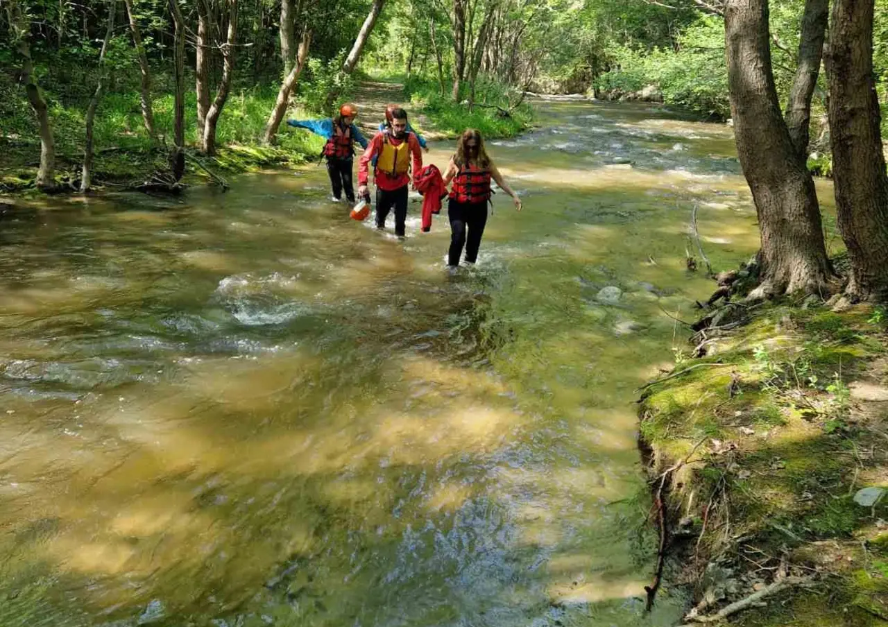 Group walking up a shallow mountain stream under green trees