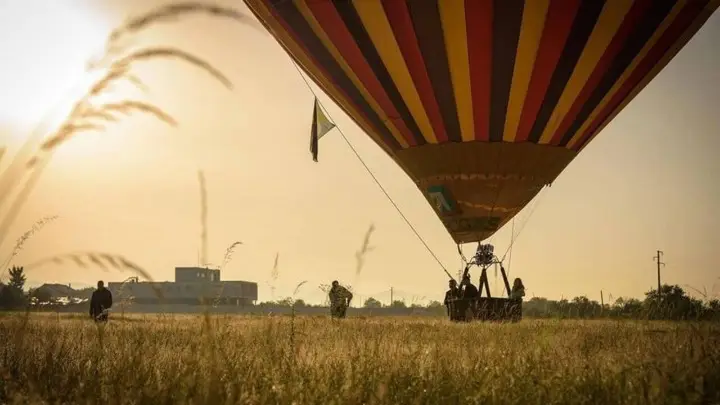 Balloon landing in a golden field
