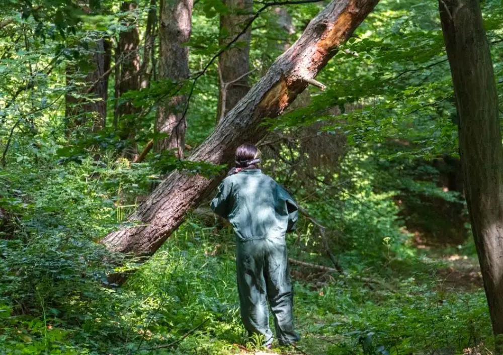 Player moving between fallen trees in the forest