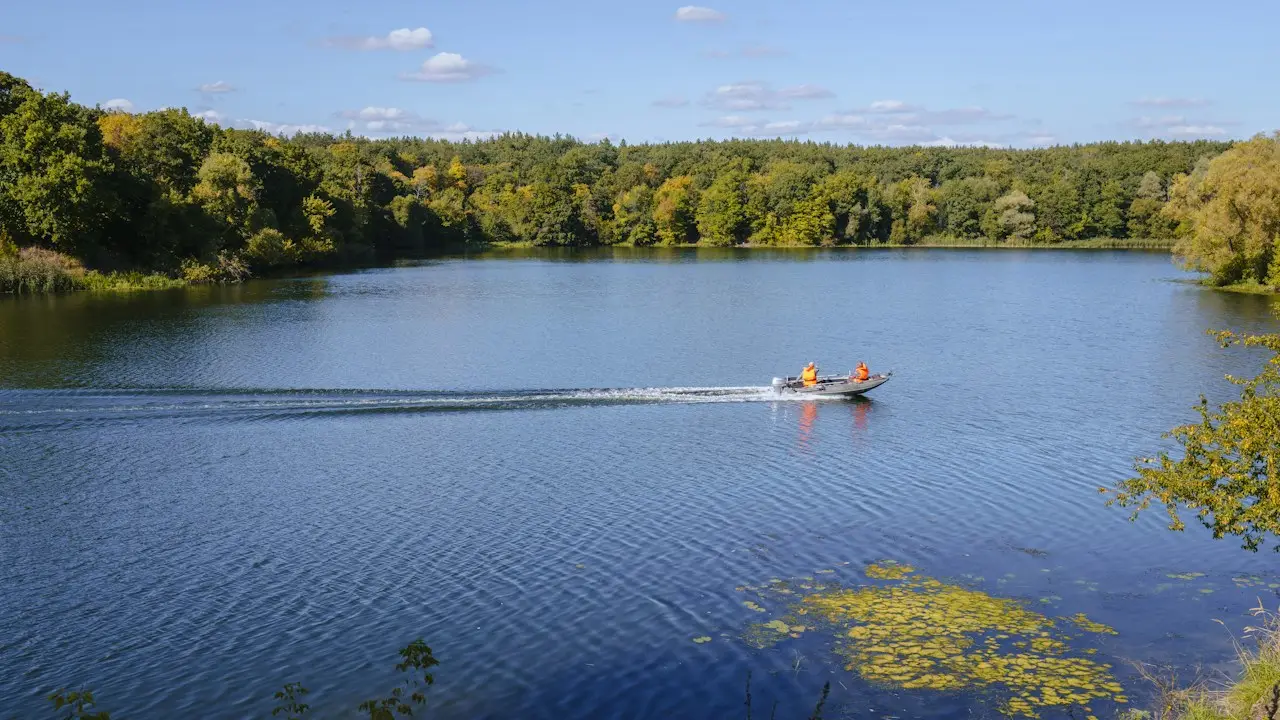 Motorboat leaving a long wake on a forest lake