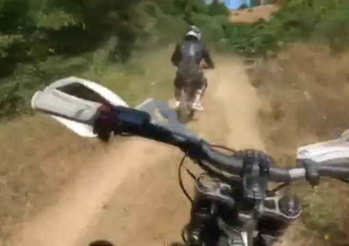 Dirt track through the trees on the ride