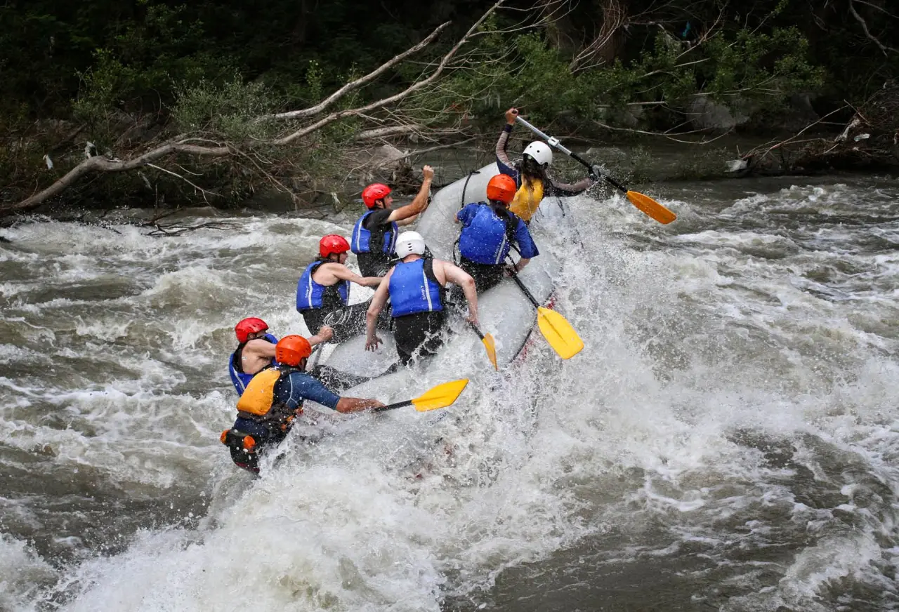 Group paddling through rapids by the riverbank