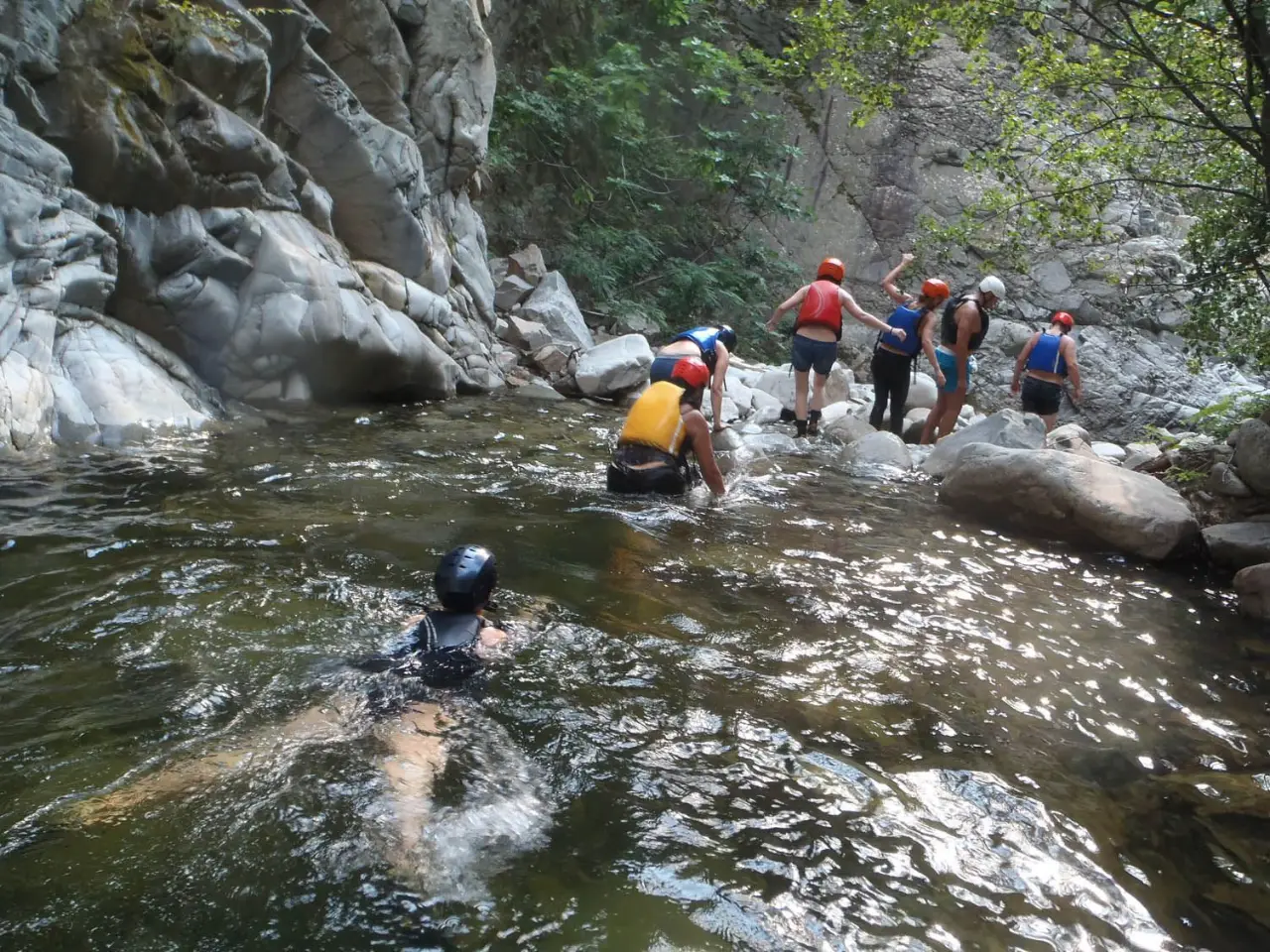 Canyoners wading through the river under green trees
