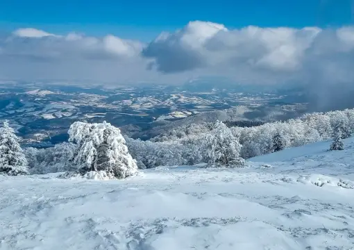 Snowy plateau and frosted trees on the Petrohan Pass