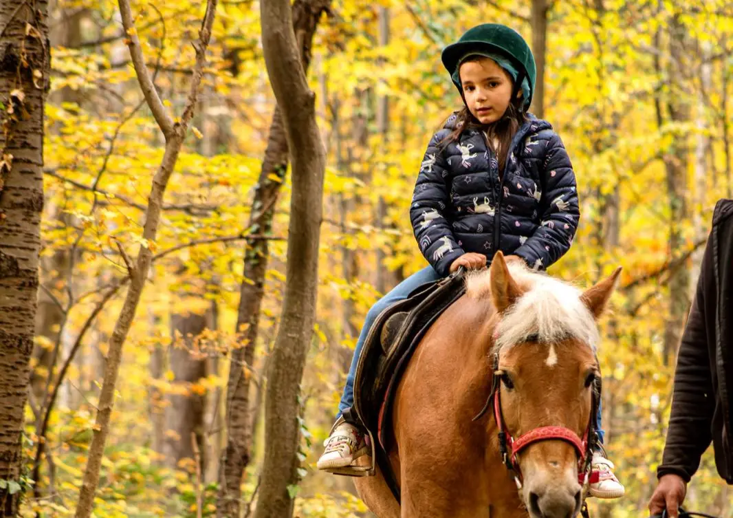 Young rider in an autumn forest on Vitosha