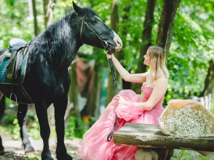 Prince, an all-black horse, in the forest on Vitosha