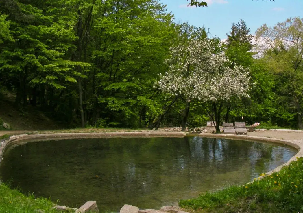 One of the Simeonovo lakes in the forest