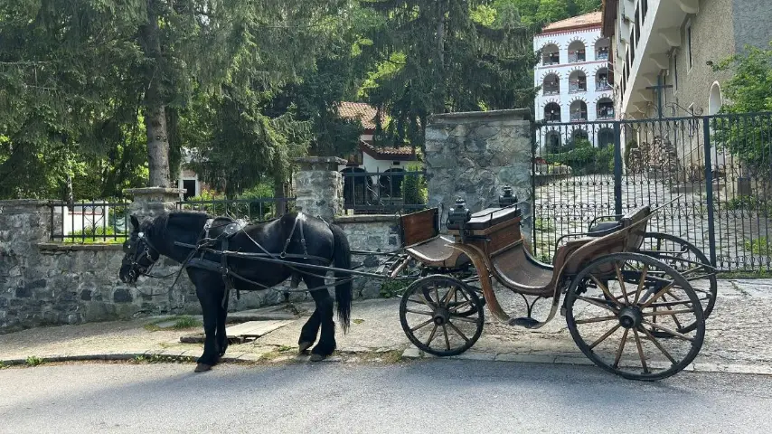 Horse carriage ride on Vitosha