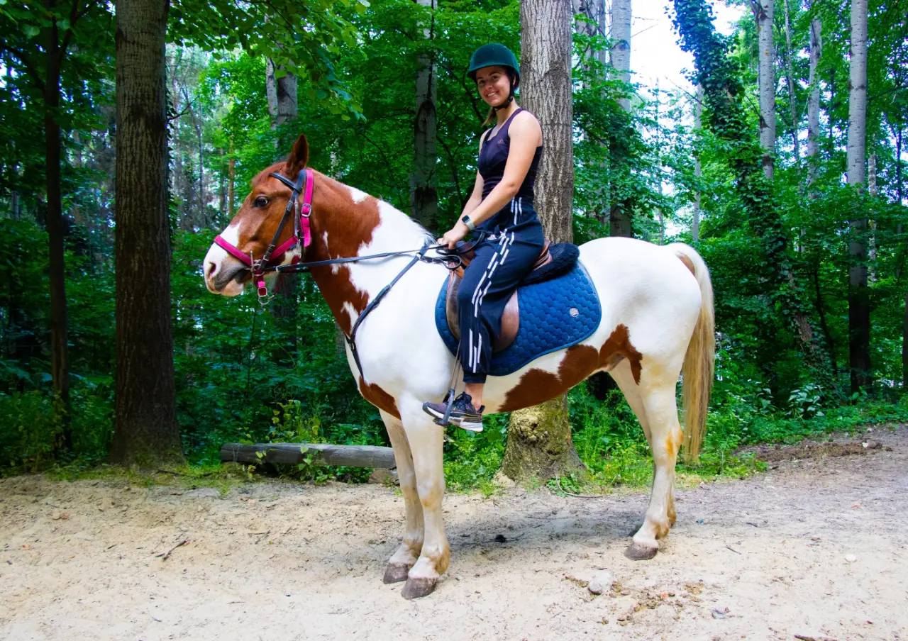 Rider on a paint horse on a forest path
